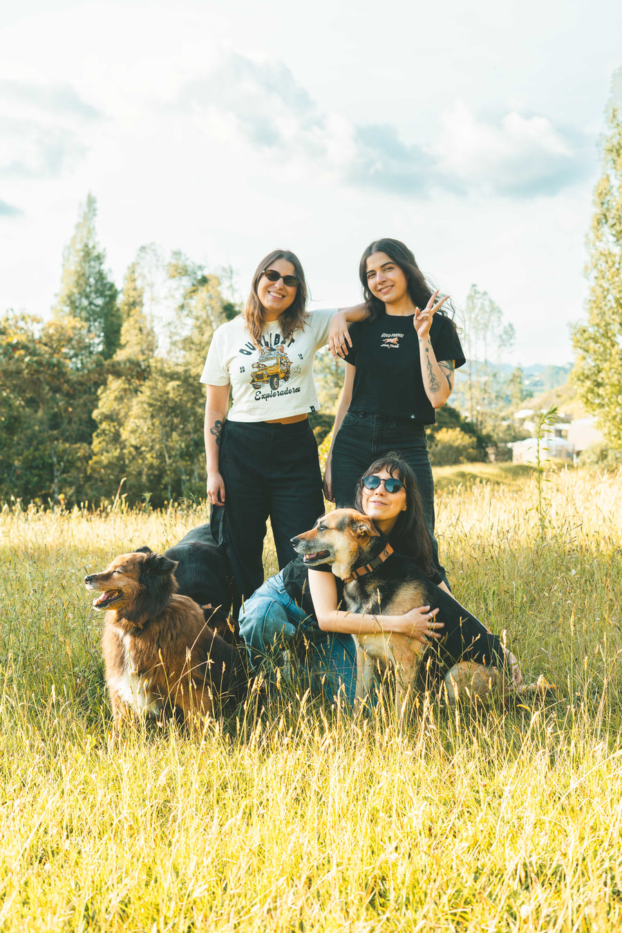 Perros Viajeros — Qualibet