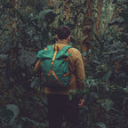 Rolltop Backpack 2.0 (Bosque)