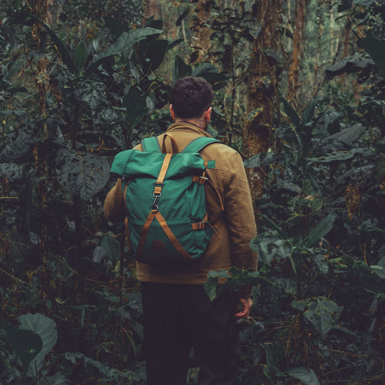 Rolltop Backpack 2.0 (Bosque)