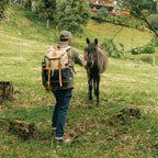 Camp Backpack Dual Camel