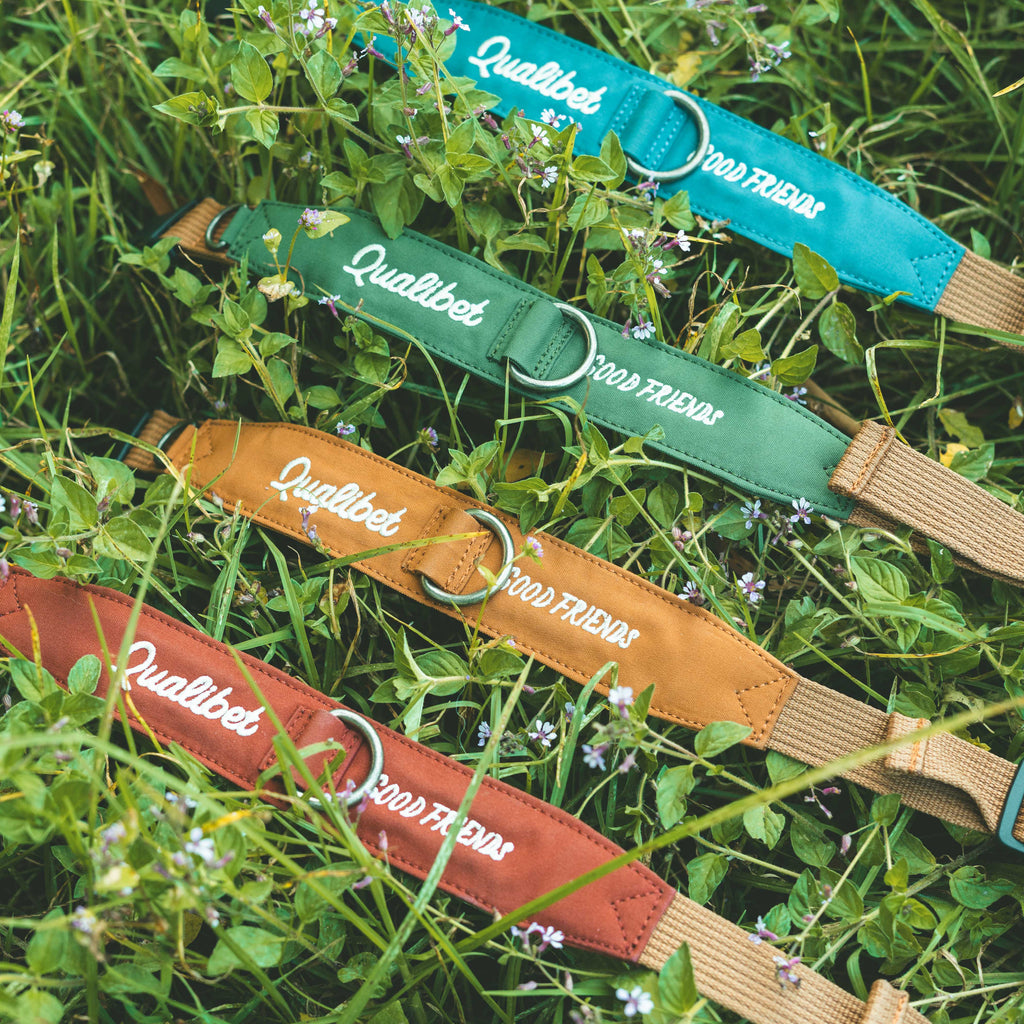 Collar Qualibet Pet Pepper (S)