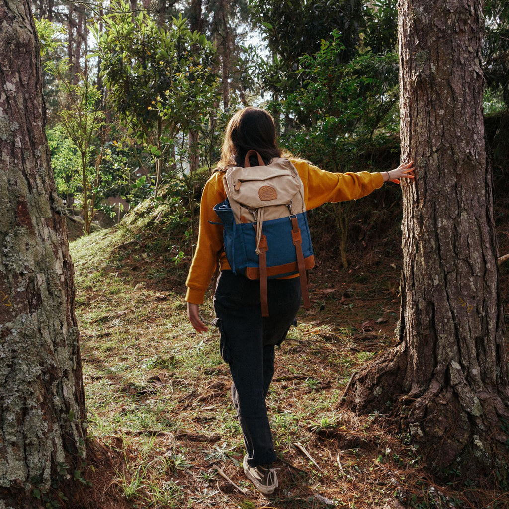 Ride Backpack Sailor