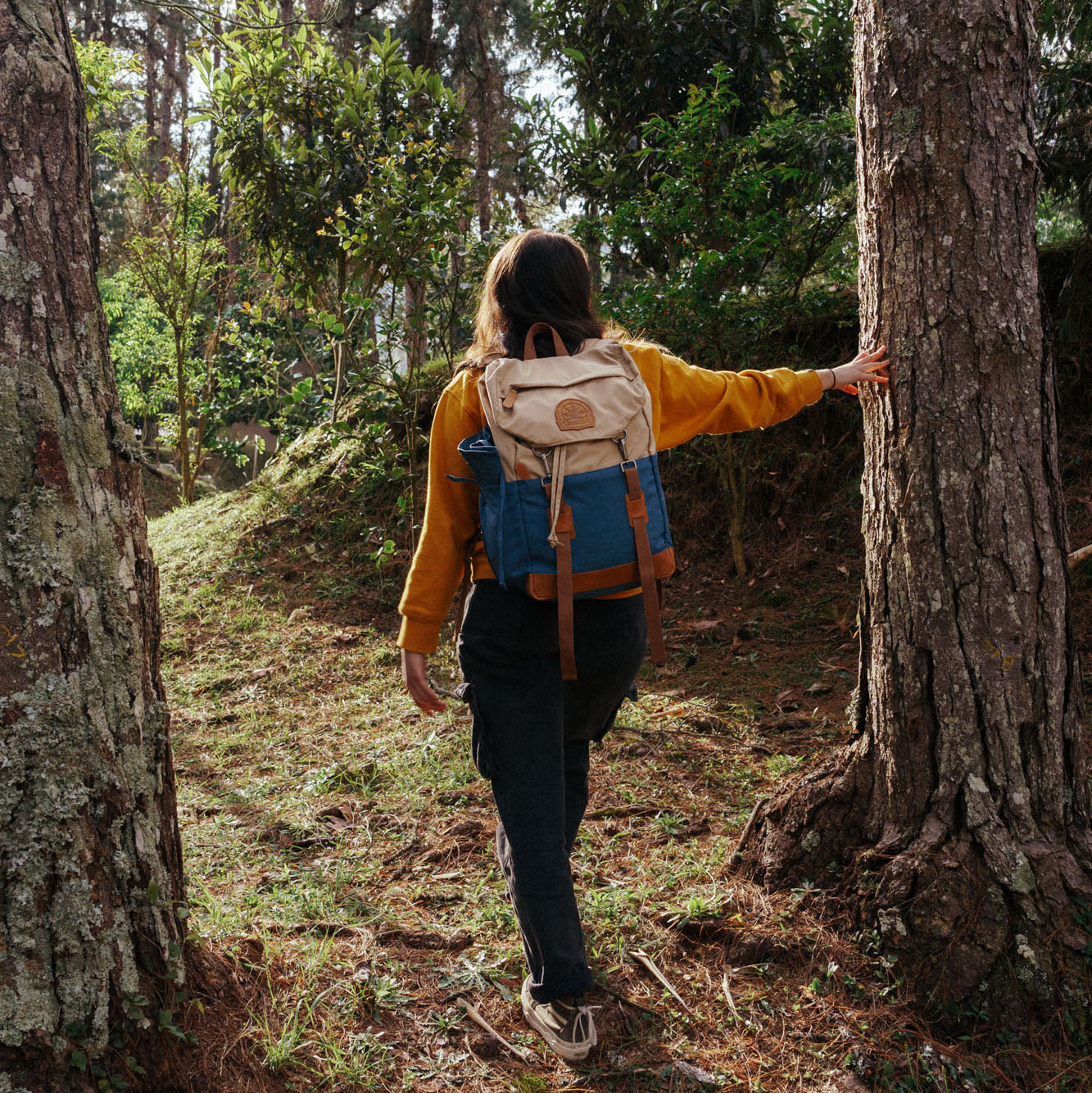 Ride Backpack Sailor