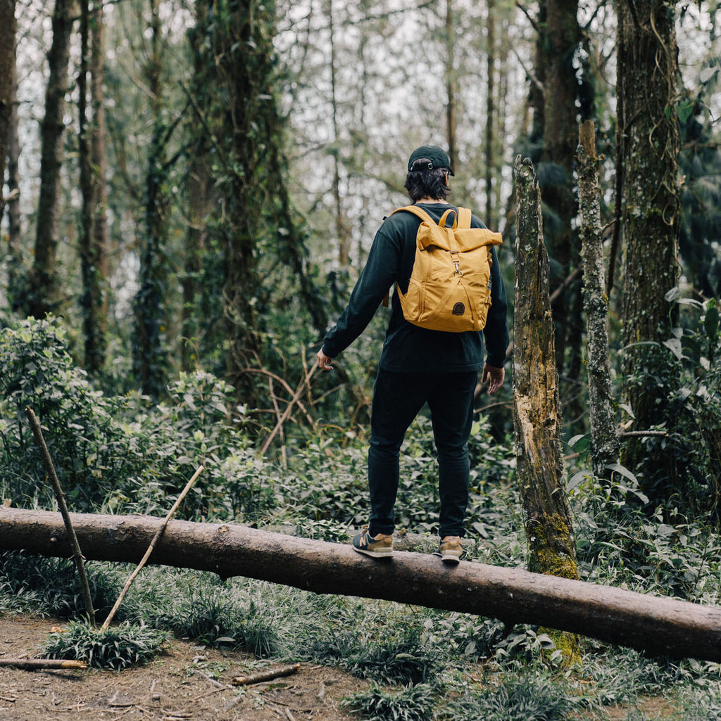 Rolltop Backpack 2.0 (Mostaza)