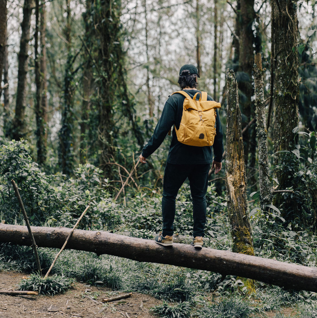 Rolltop Backpack 2.0 (Mostaza)