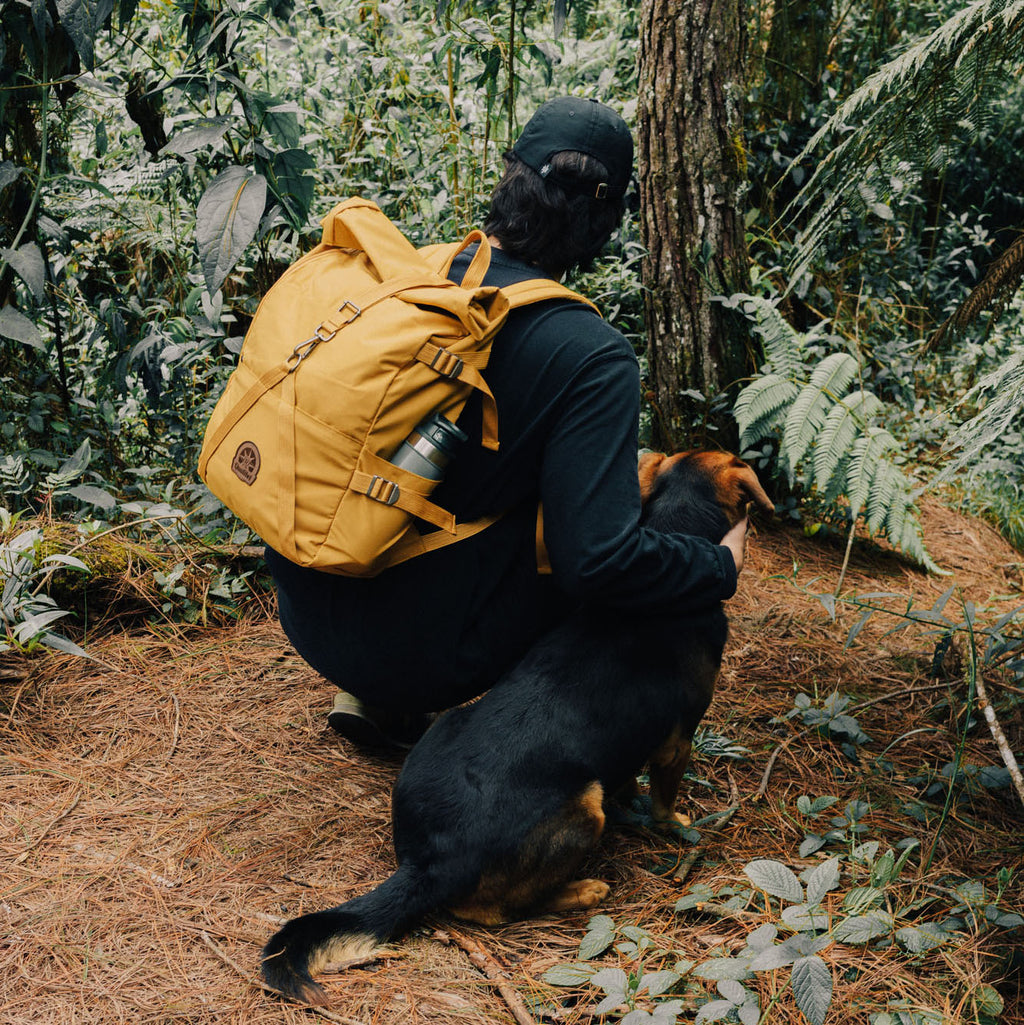 Rolltop Backpack 2.0 (Mostaza)