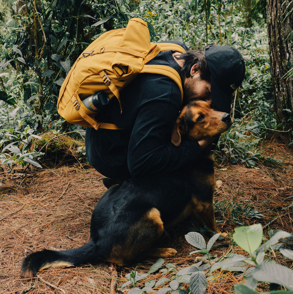 Rolltop Backpack 2.0 (Mostaza)