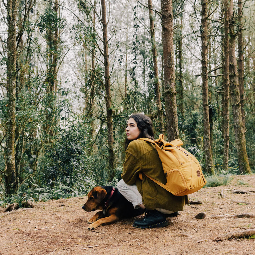 Rolltop Backpack 2.0 (Mostaza)