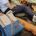 Rolltop Backpack 2.0 (Sailor)