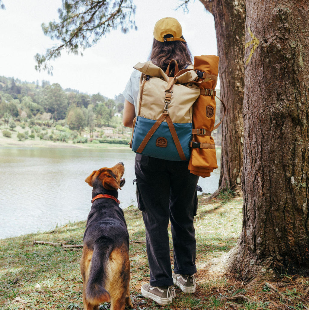 Rolltop Backpack 2.0 (Sailor)