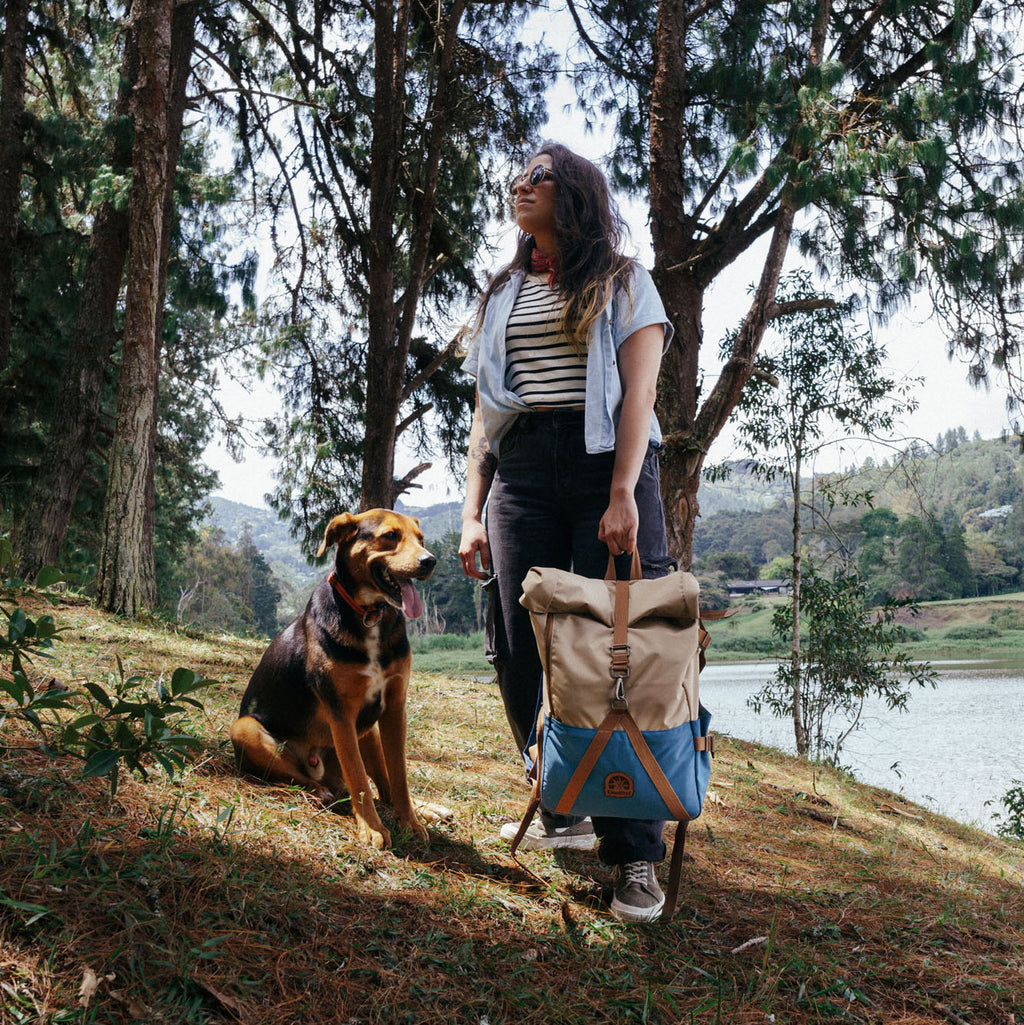Rolltop Backpack 2.0 (Sailor)