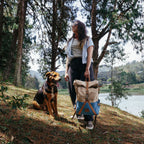 Rolltop Backpack 2.0 (Sailor)
