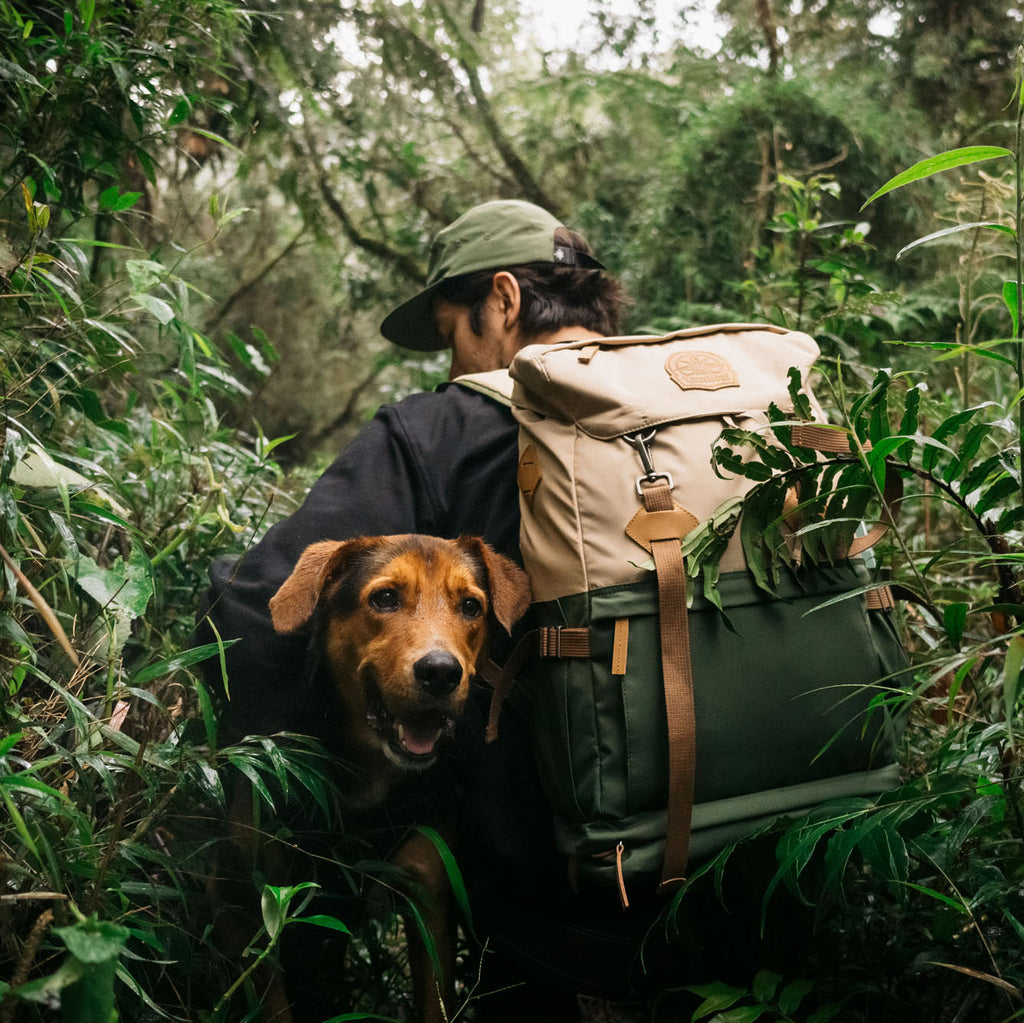 Camp Backpack Explorer