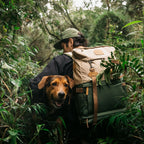 Camp Backpack Explorer