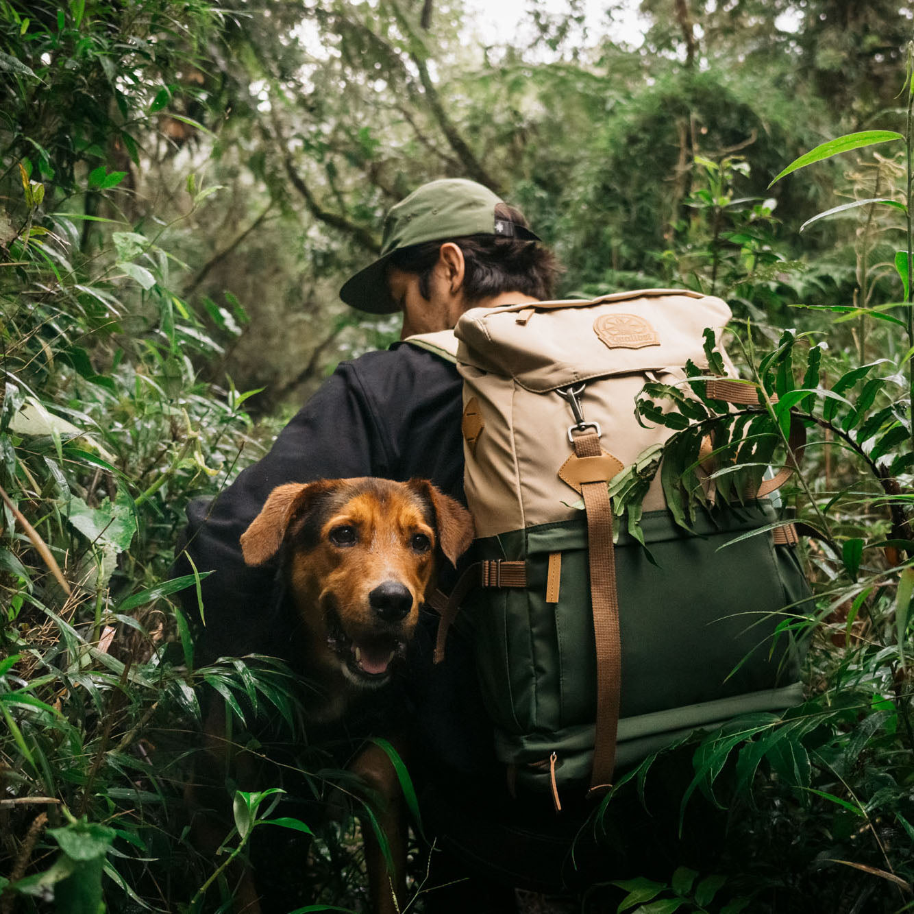 Camp Backpack Explorer