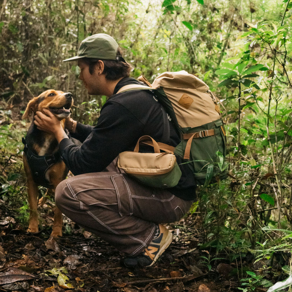 Camp Backpack Explorer