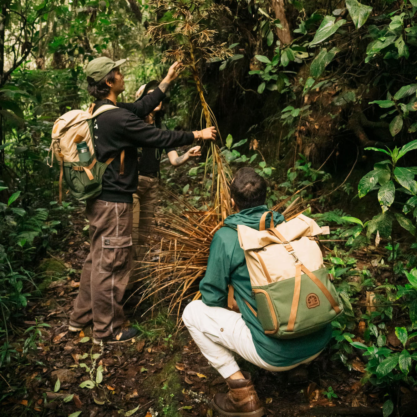 Rolltop Backpack 2.0 (Explorer)