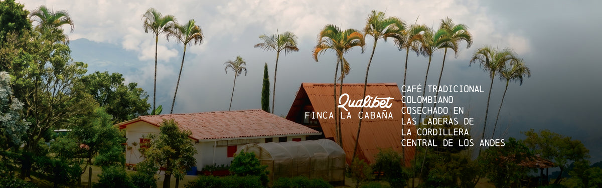 Viaja con la colección cabaña, inspirada en las montañas de café