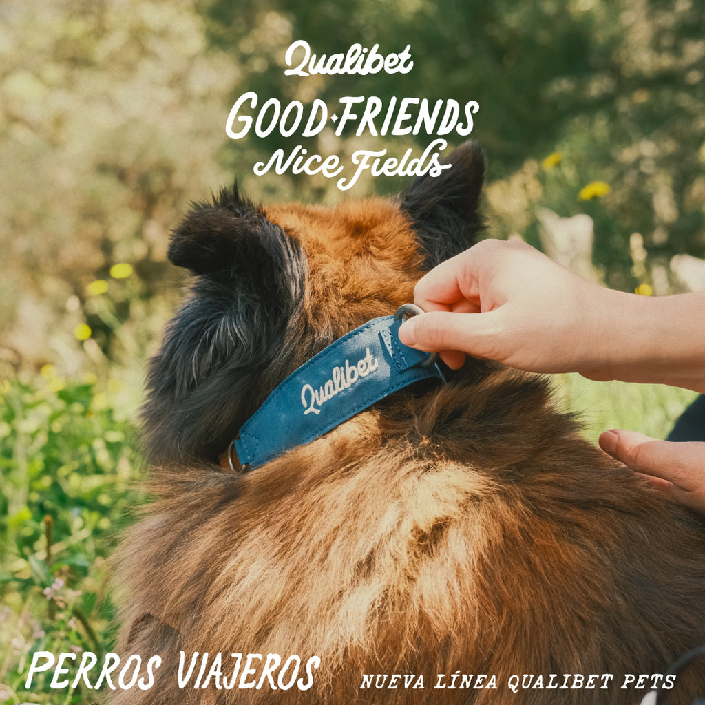 Collar Qualibet Pet Navy (L)