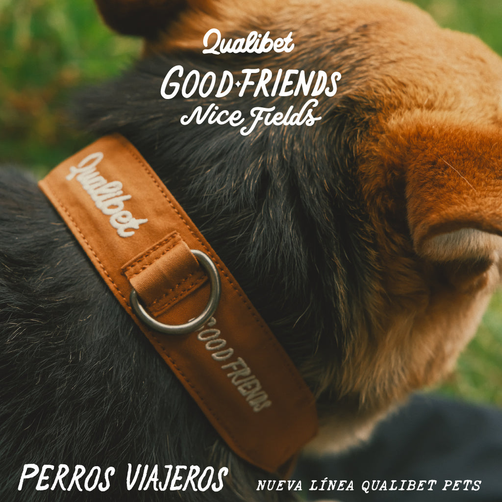 Collar Qualibet Pet Brown (L)