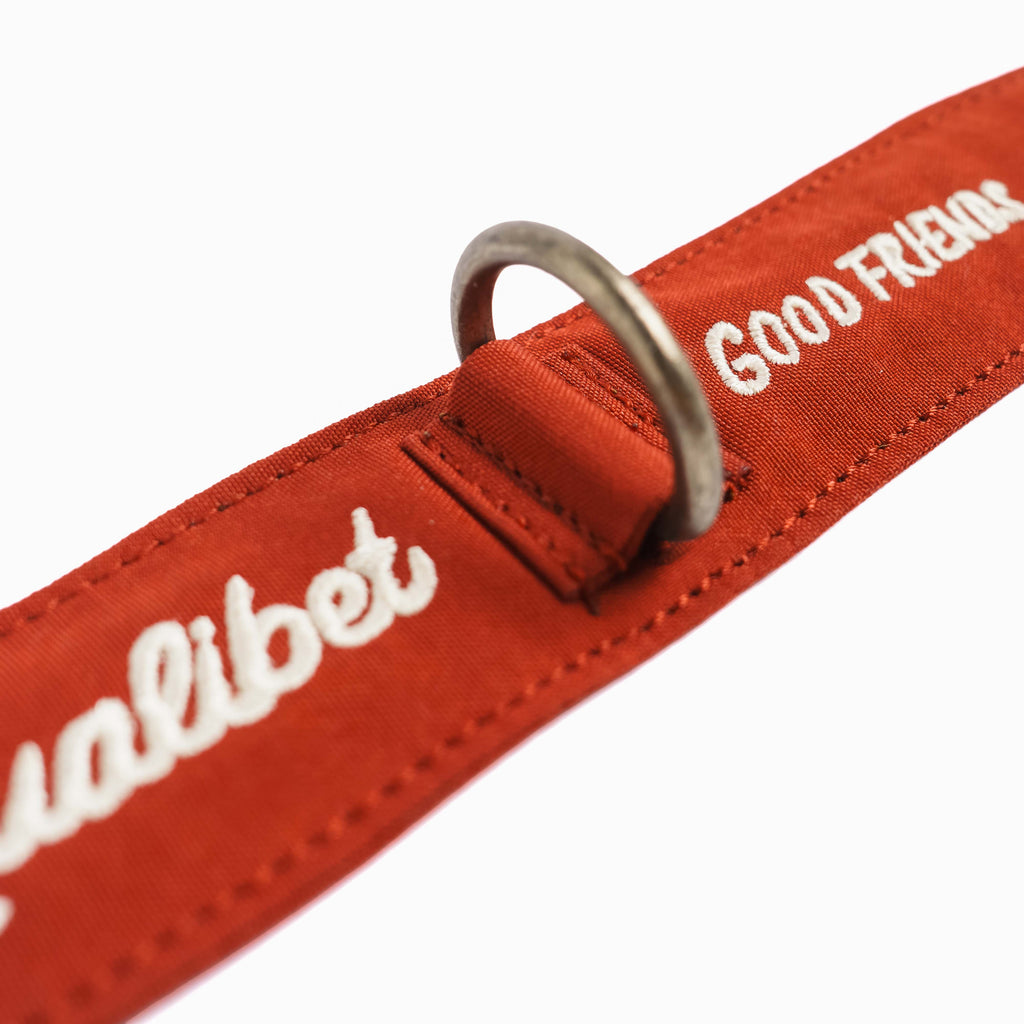 Collar Qualibet Pet Pepper (L)