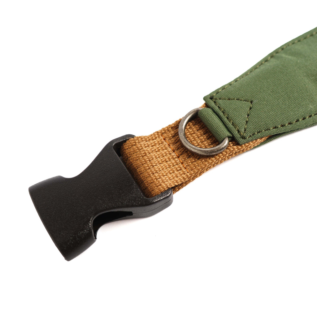 Collar Qualibet Pet Green (L)