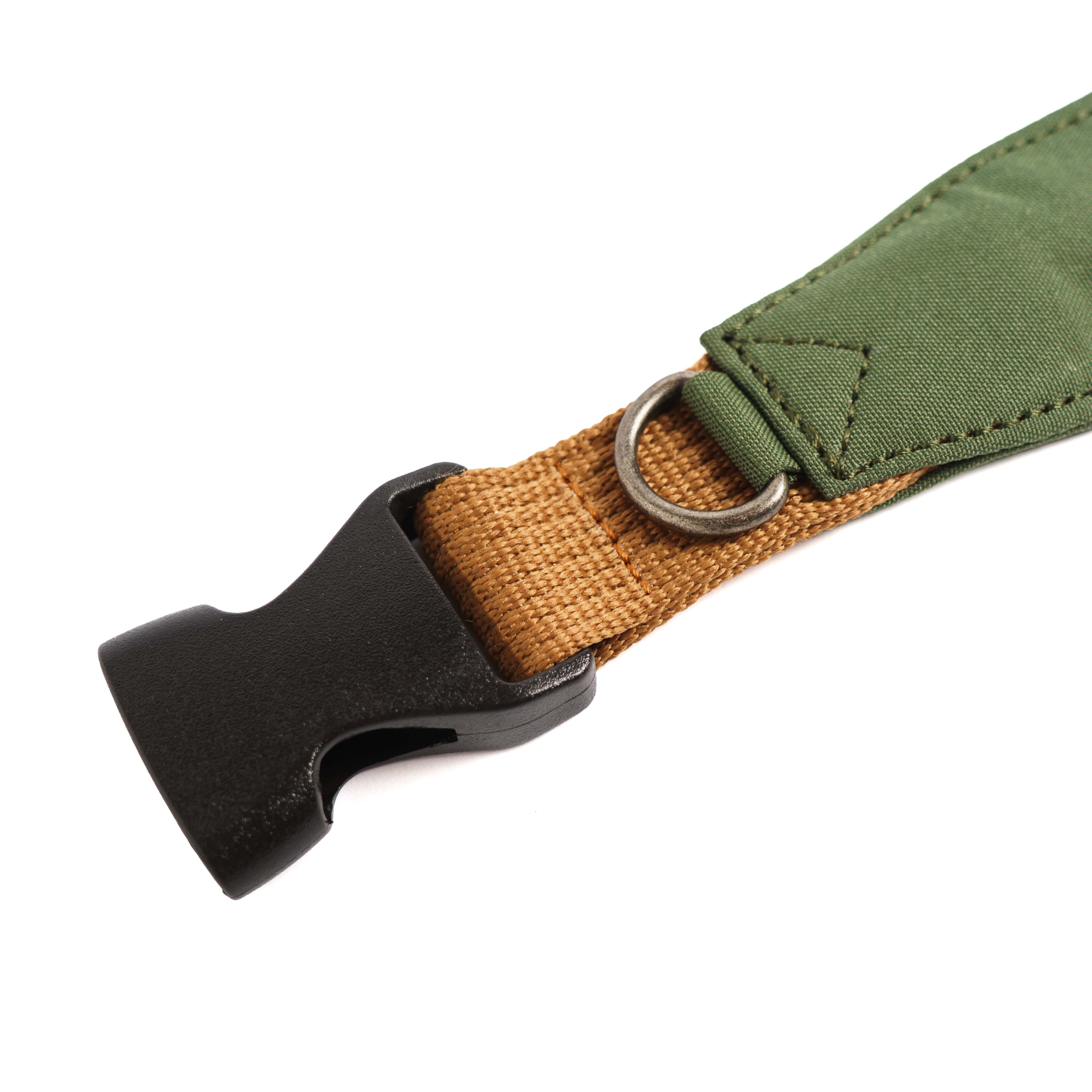 Collar Qualibet Pet Green (L)