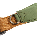 Collar Qualibet Pet Green (L)