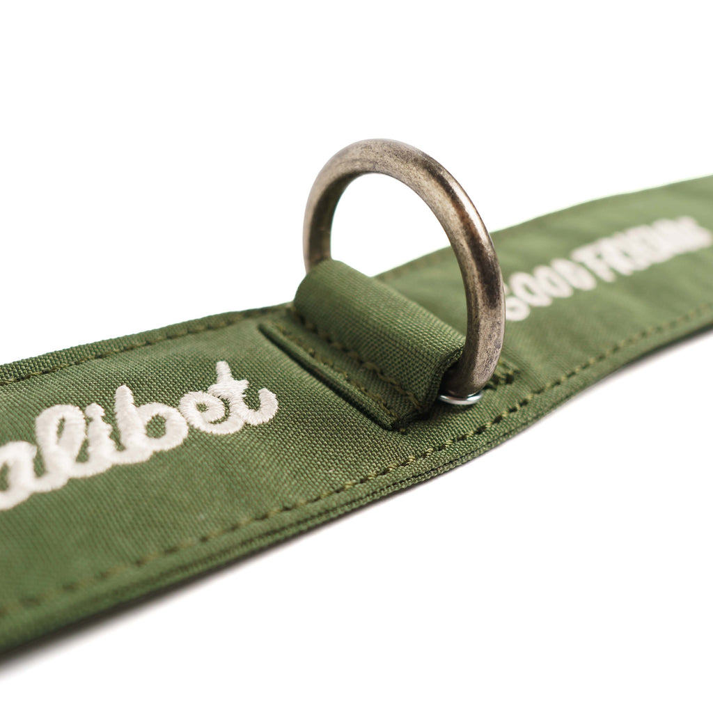 Collar Qualibet Pet Green (L)