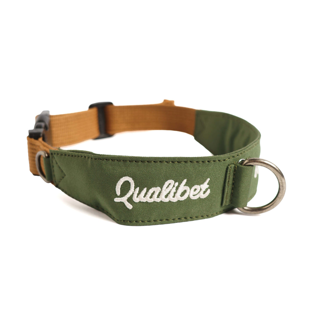 Collar Qualibet Pet Green (L)
