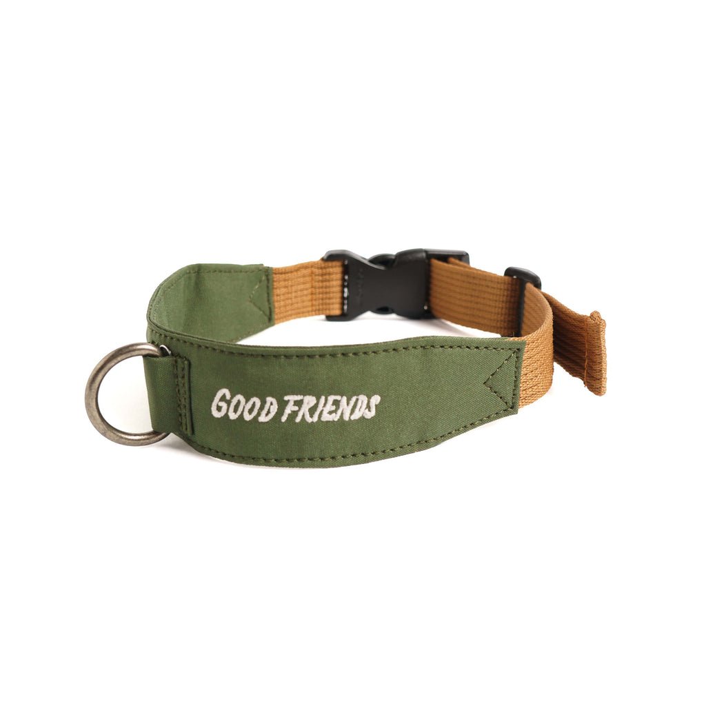 Collar Qualibet Pet Green (L)