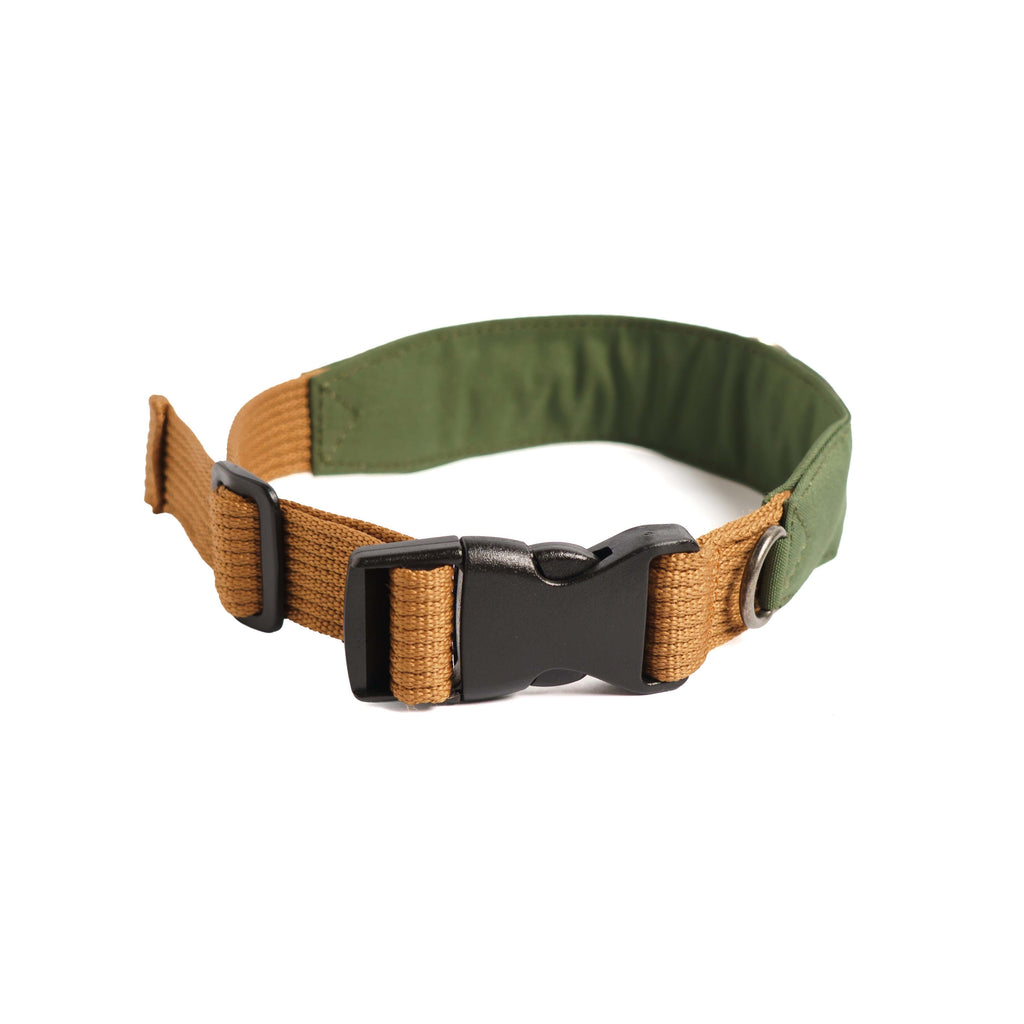 Collar Qualibet Pet Green (L)