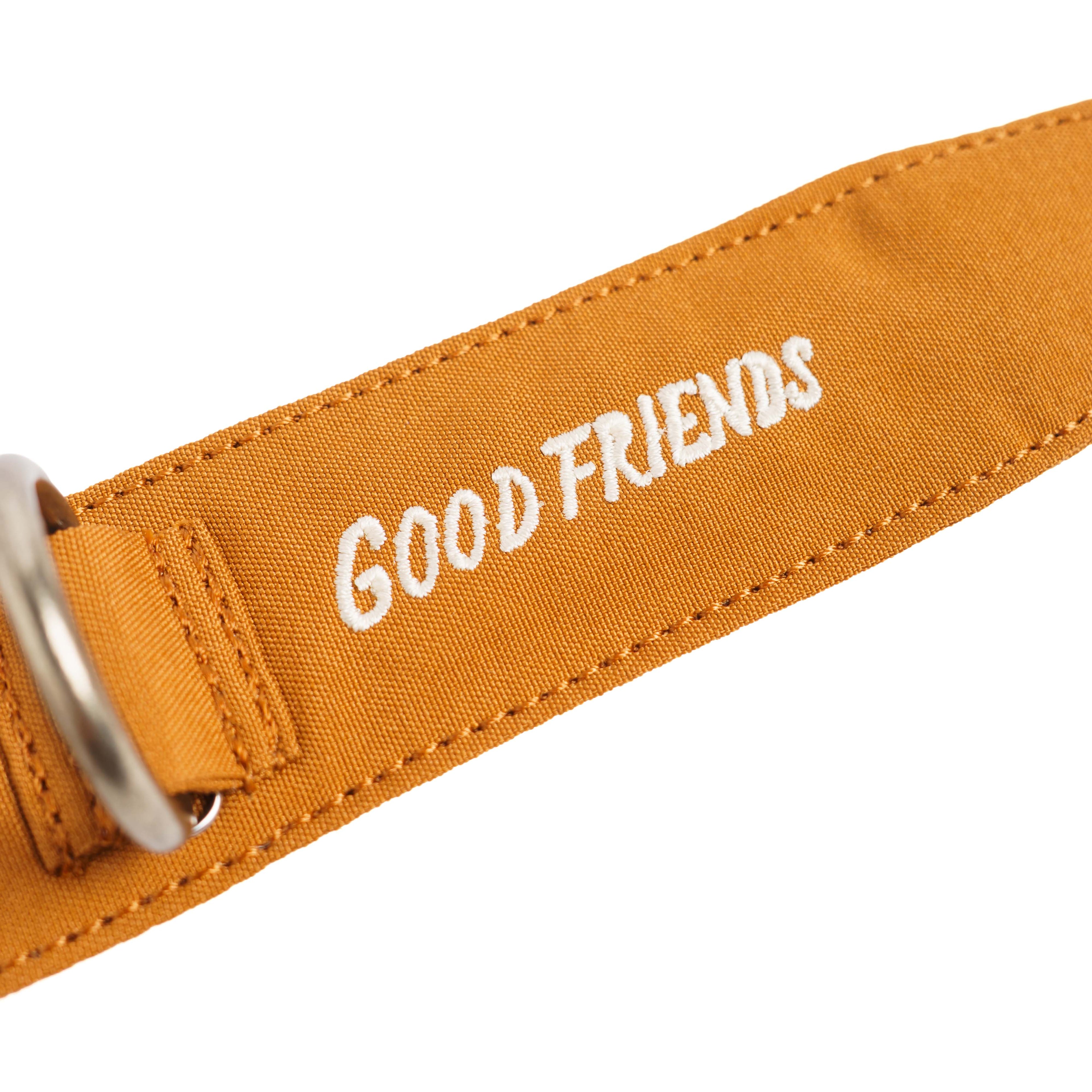 Collar Qualibet Pet Brown (L)