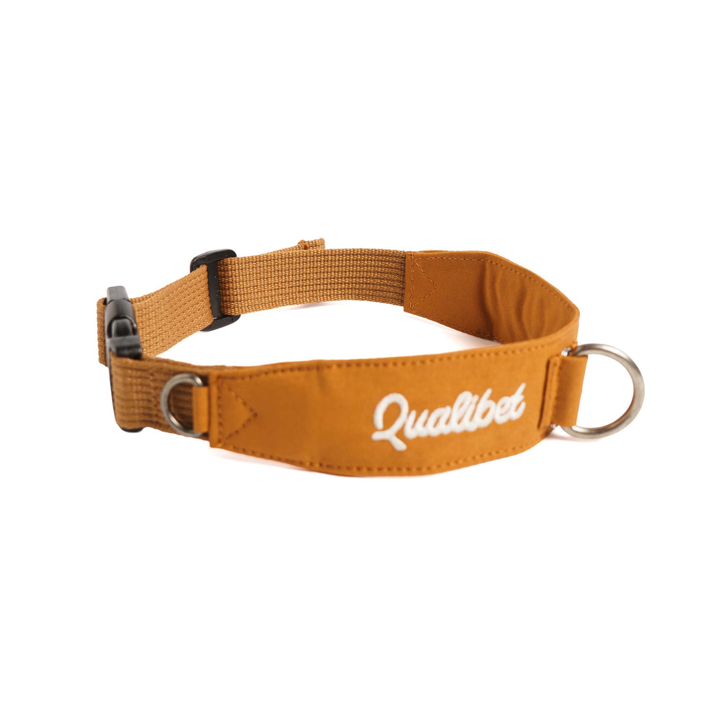 Collar Qualibet Pet Brown (L)