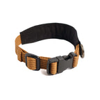 Collar Qualibet Pet Black (S)