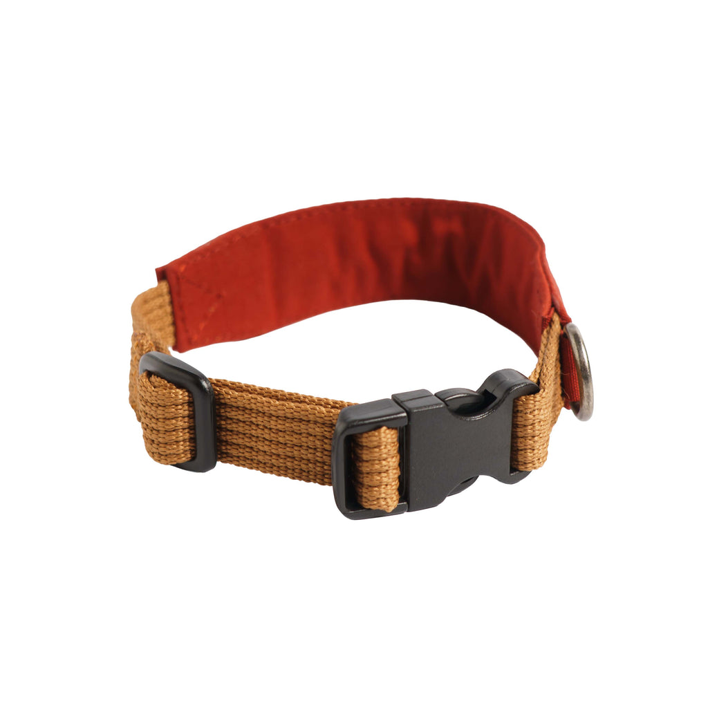 Collar Qualibet Pet Pepper (S)