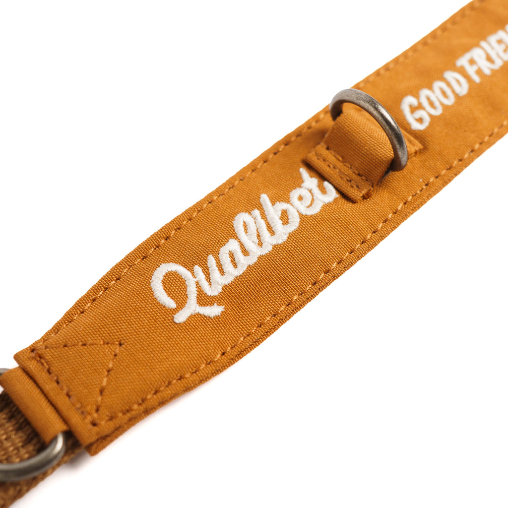 Collar Qualibet Pet Brown (S)