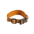Collar Qualibet Pet Brown (S)
