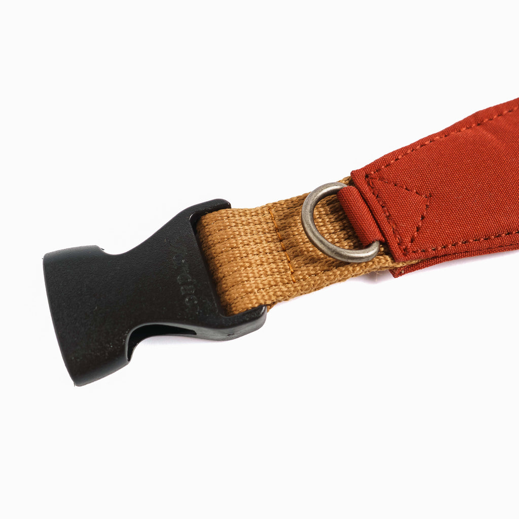 Collar Qualibet Pet Pepper (L)
