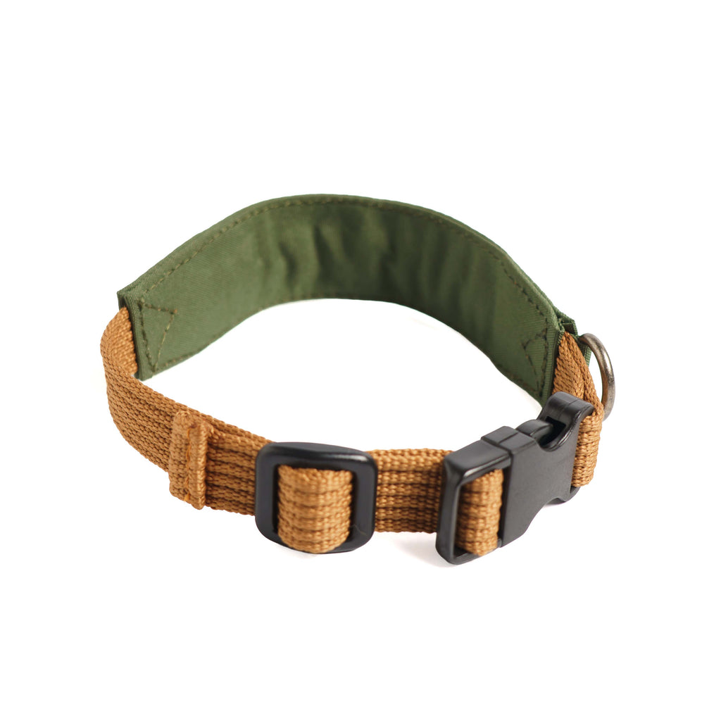 Collar Qualibet Pet Green (S)