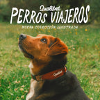 Collar Qualibet Pet Pepper (S)