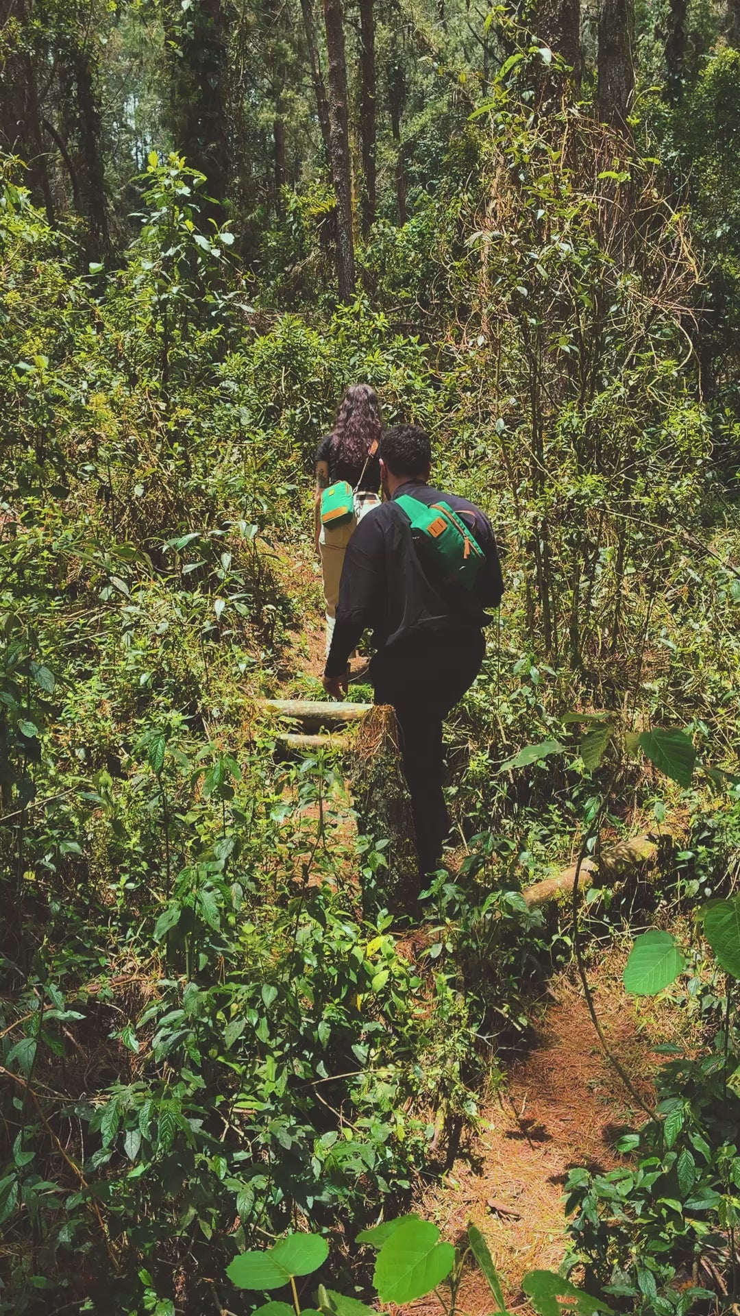 Hip Pack Explorer Bosque
